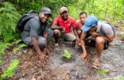 Protecting Threatened Lemur Habitat in Madagascar