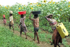 Provide safe drinking water,tens thousands-postwar