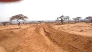 Semi-arid environment of Samburu