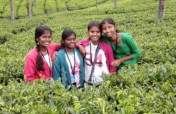 Help 16 girls to go on an annual educational tour