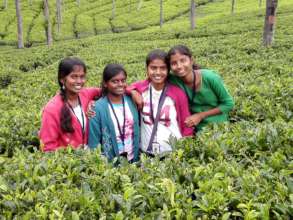 Help 16 girls to go on an annual educational tour