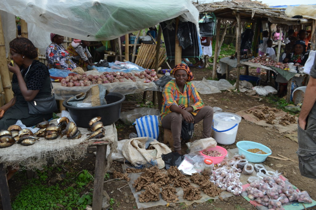 Help 15 displaced women escape poverty with loans