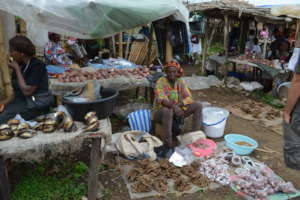 Help 15 displaced women escape poverty with loans