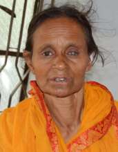 Pics. of Golena