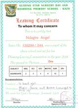 Angel_PLE Certificate