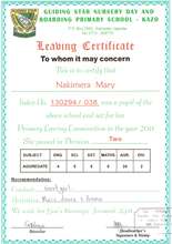Mary_PLE Certificate