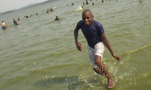 William: wade in the waters!