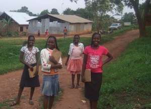 Education Fever