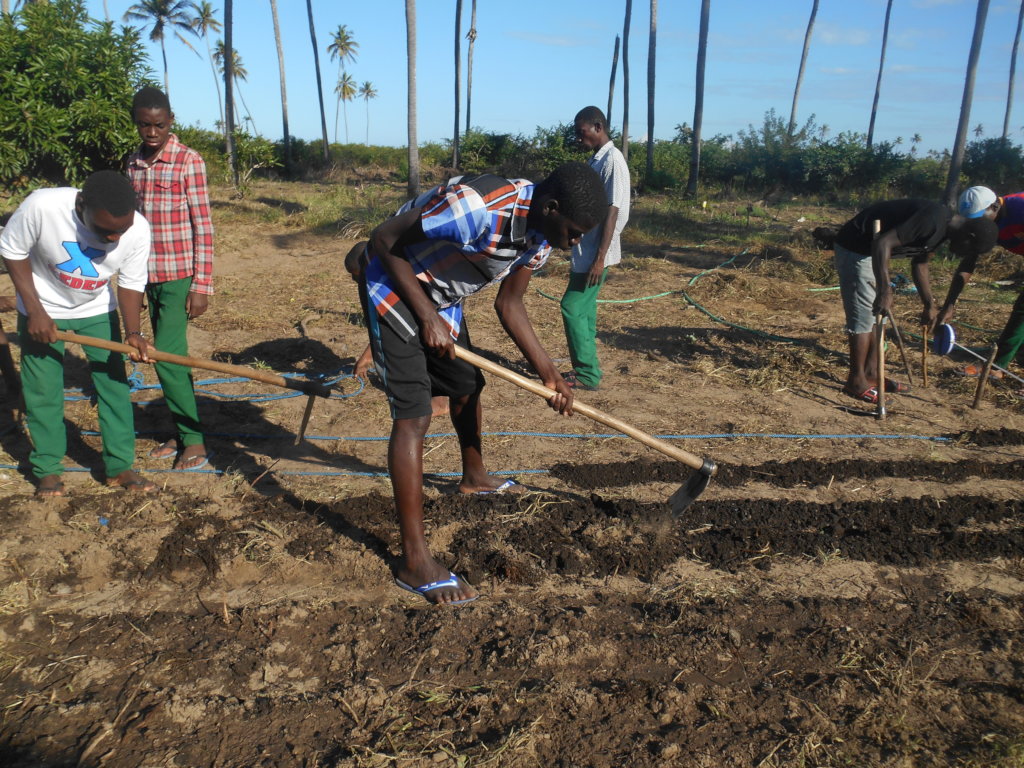 Mangrove Planting (Community / Students) of Barada