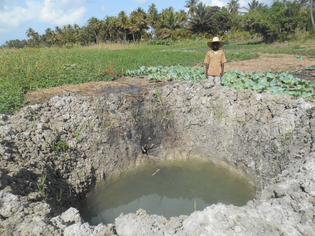 Mangrove Planting (Community / Students) of Barada