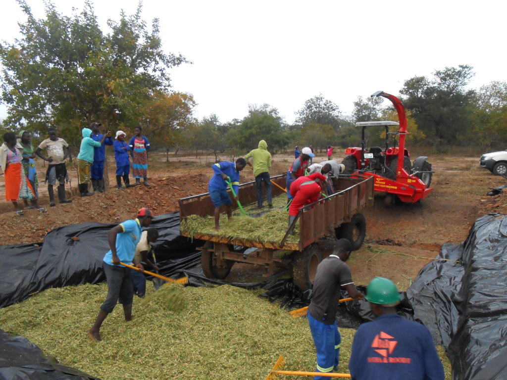 Mangrove Planting (Community / Students) of Barada