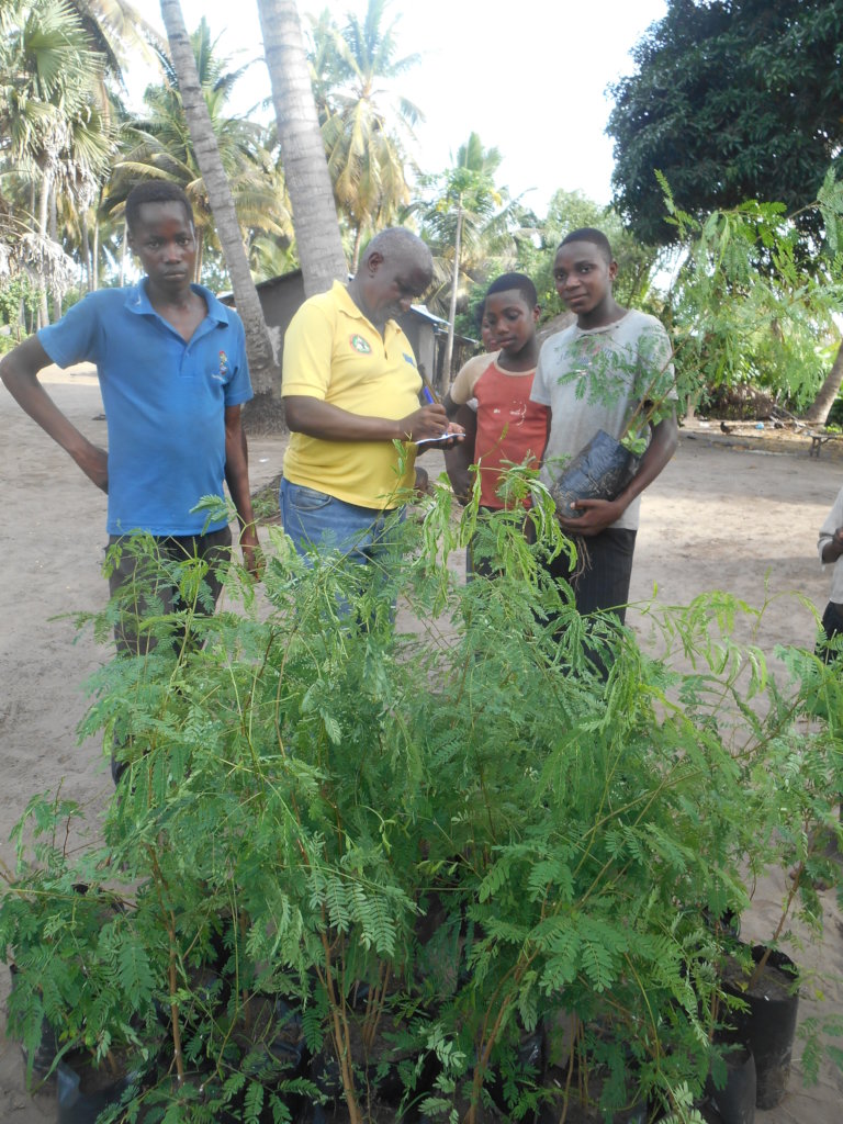 Mangrove Planting (Community / Students) of Barada