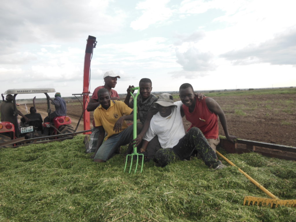 Mangrove Planting (Community / Students) of Barada