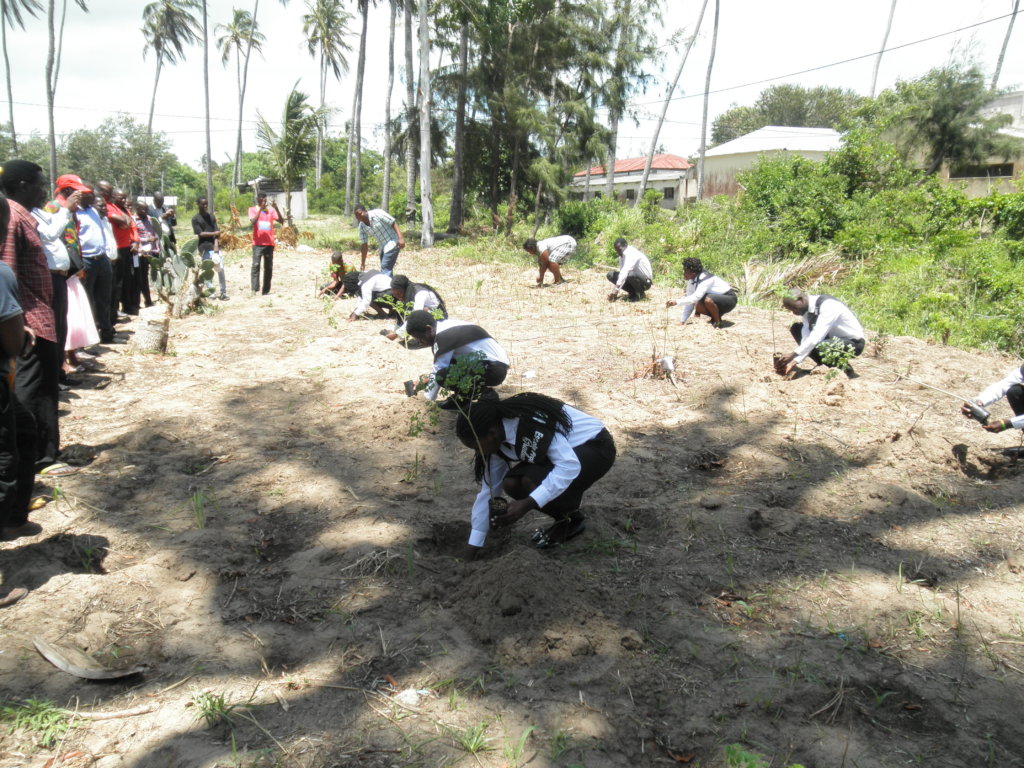 Mangrove Planting (Community / Students) of Barada