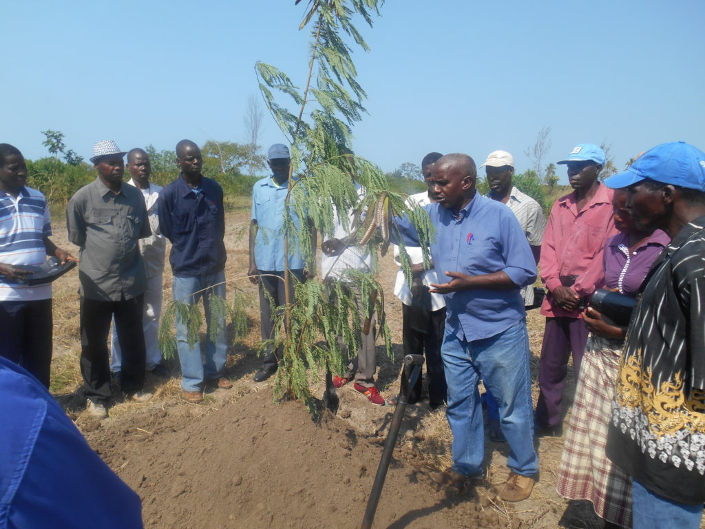 Mangrove Planting (Community / Students) of Barada