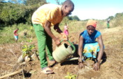 Mangrove Planting (Community / Students) of Barada