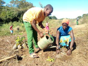 Mangrove Planting (Community / Students) of Barada