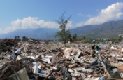 Palu & Donggala Emergency Relief