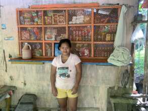 Small livelihood support