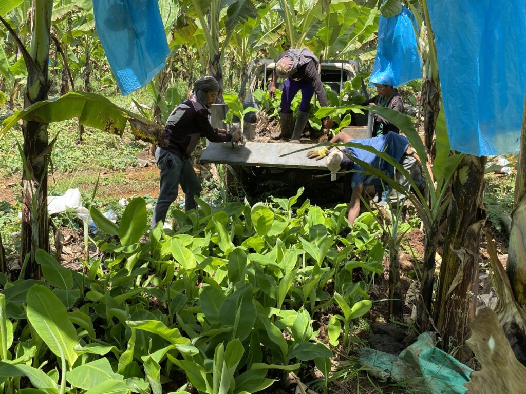 Continue with support