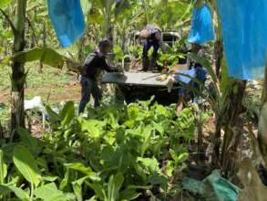 Continue with support