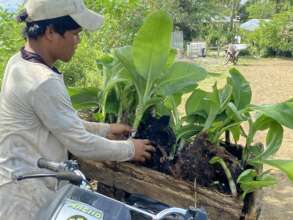 Continue with assistance