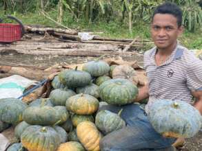 Continue with assistance