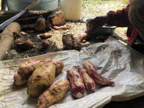 Promoting sweet potato