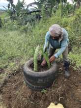 Providing farm work