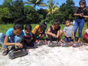children sowing seeds