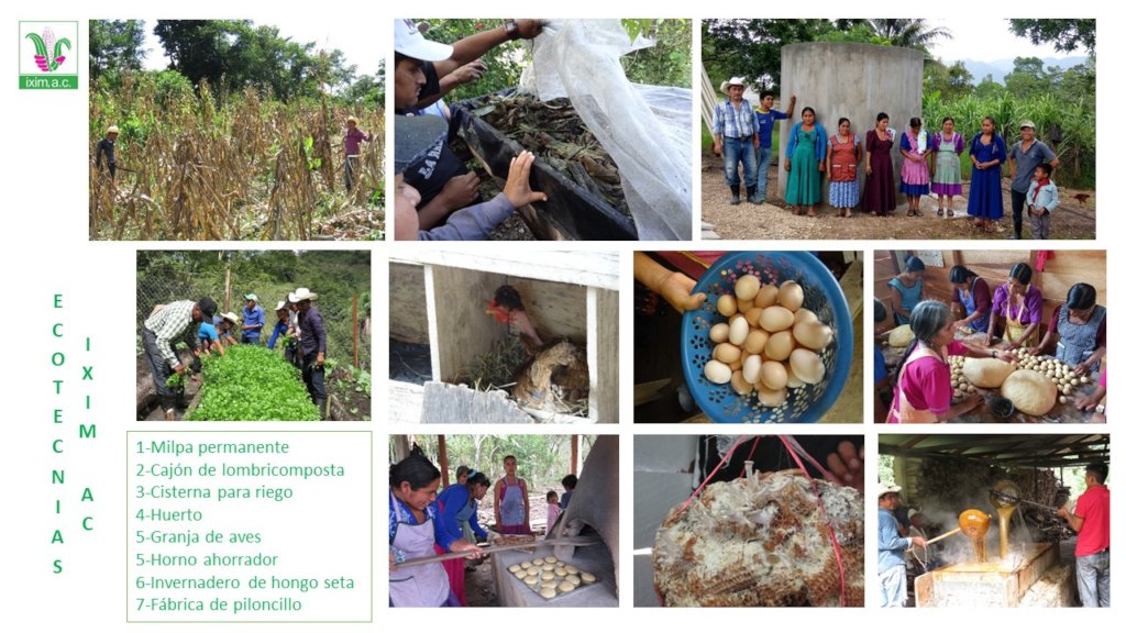 Help feed 168 tseltal children in Chiapas