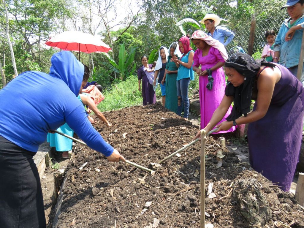Help feed 168 tseltal children in Chiapas