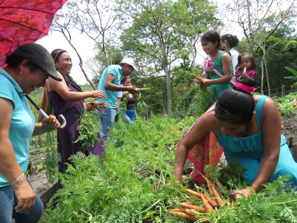 Help feed 168 tseltal children in Chiapas