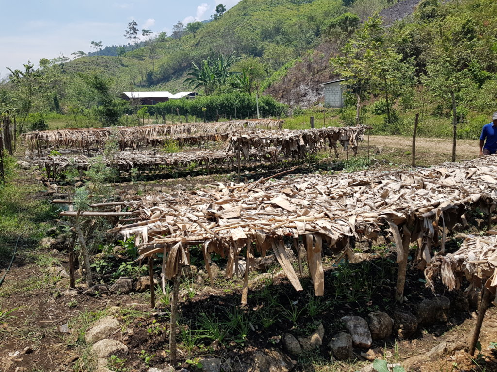 Help feed 168 tseltal children in Chiapas