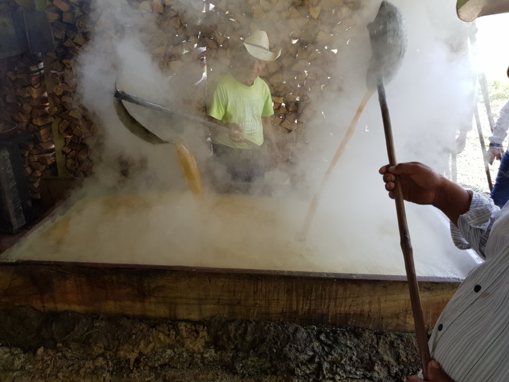 Help feed 168 tseltal children in Chiapas