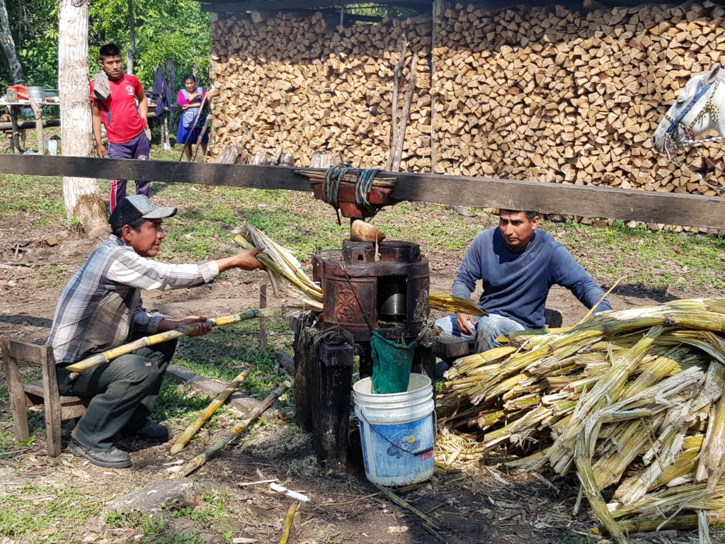 Help feed 168 tseltal children in Chiapas