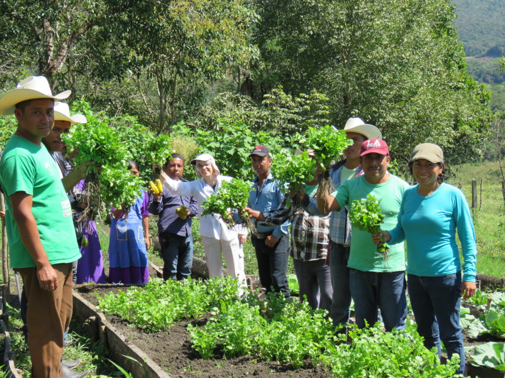 Help feed 168 tseltal children in Chiapas