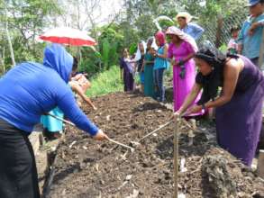working at the orchards
