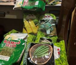 Seed supply