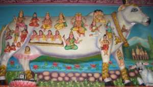 Hindus believe that all Gods are live inside a cow