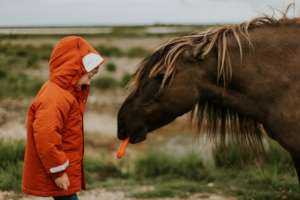 Animal Assisted Therapy for Disadvantaged Children