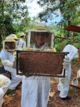 Children learning about bees