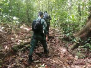 Park rangers patrolling Corcovado