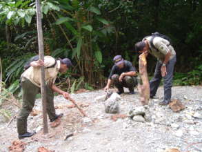 Park rangers examining