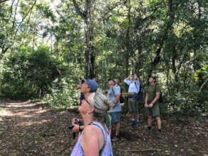 Tourist observe fauna in Corcovado