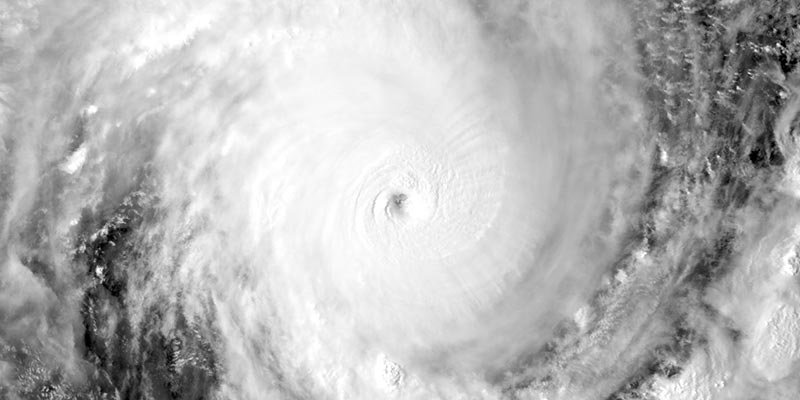 Habitat for Humanity - Hurricane Michael Response