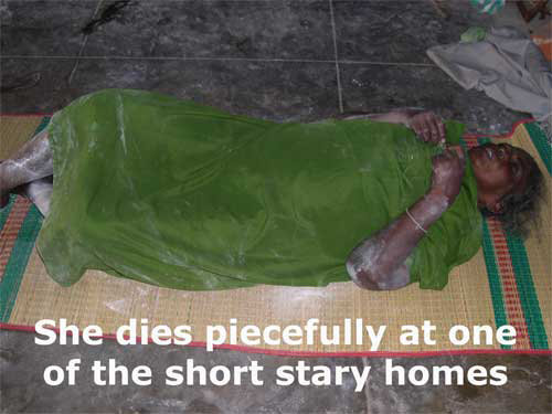 Provide Rescue Vans to 100 DyingDestitute in India