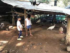 Orienting children on proper animal care