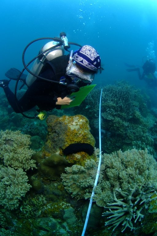 Coral Reef Monitoring Programme in Malaysia