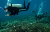 Coral Reef Monitoring Programme in Malaysia